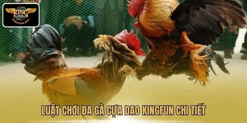 Luật chơi đa gà cựa dao Kingfun chi tiết